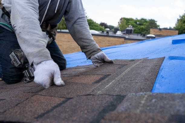 Best Storm Damage Roof Repair  in West Perrine, FL